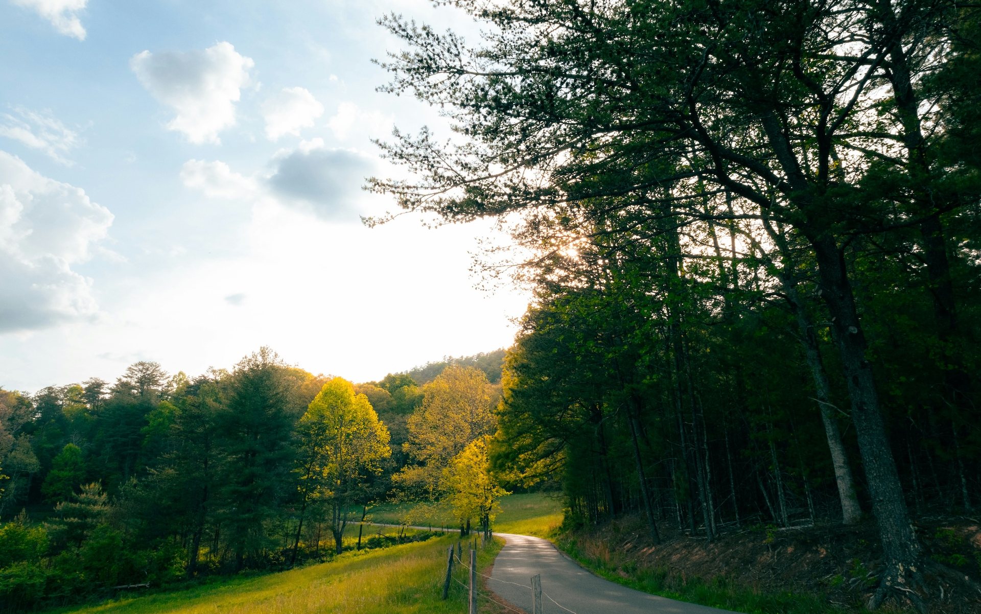 A country road curving through wooded hills in late afternoon light