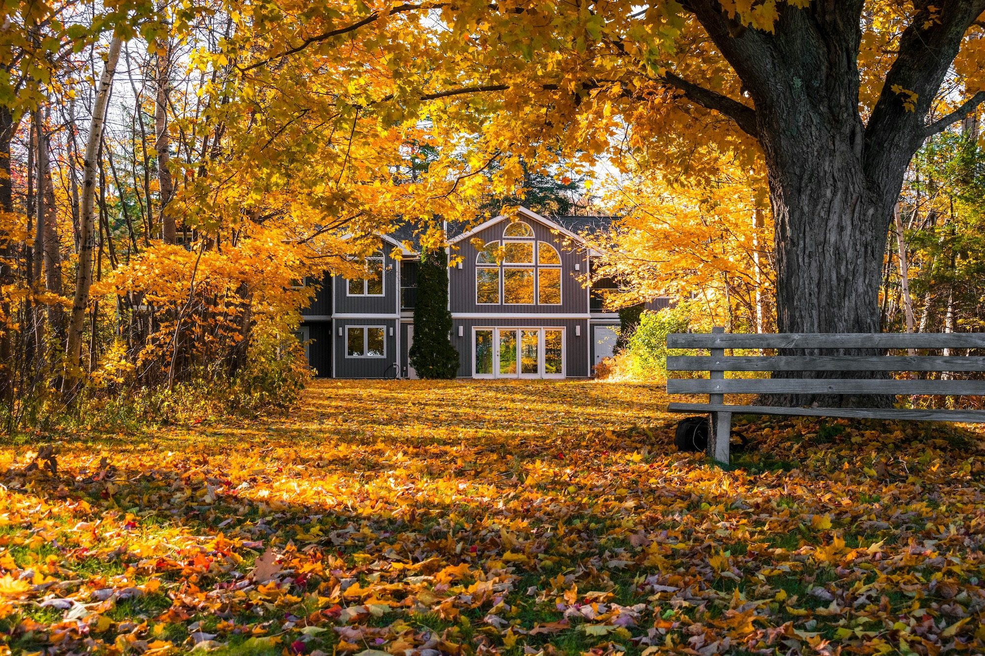 A home surrounded by fall colors